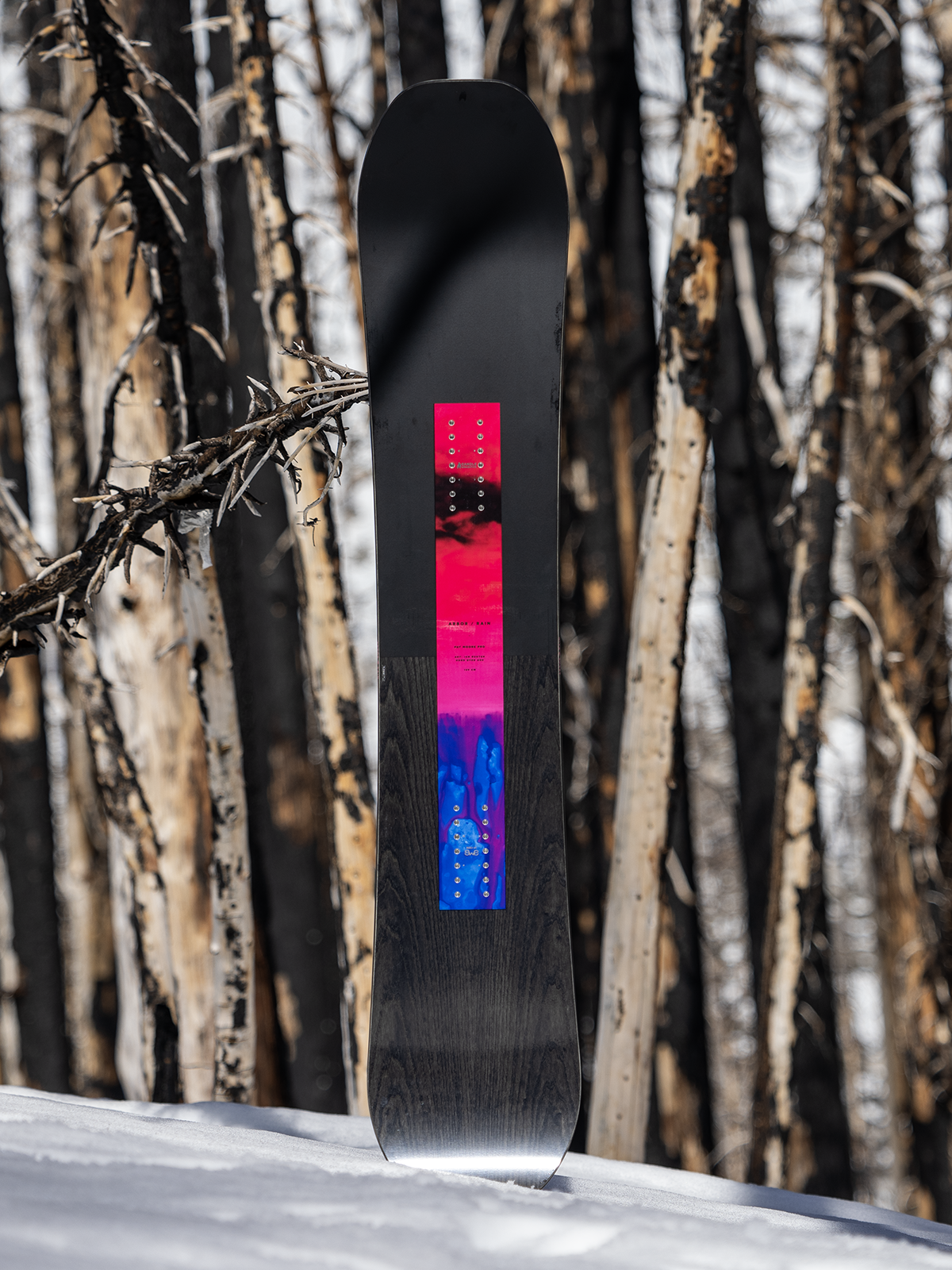 ARBOR Candle Rain