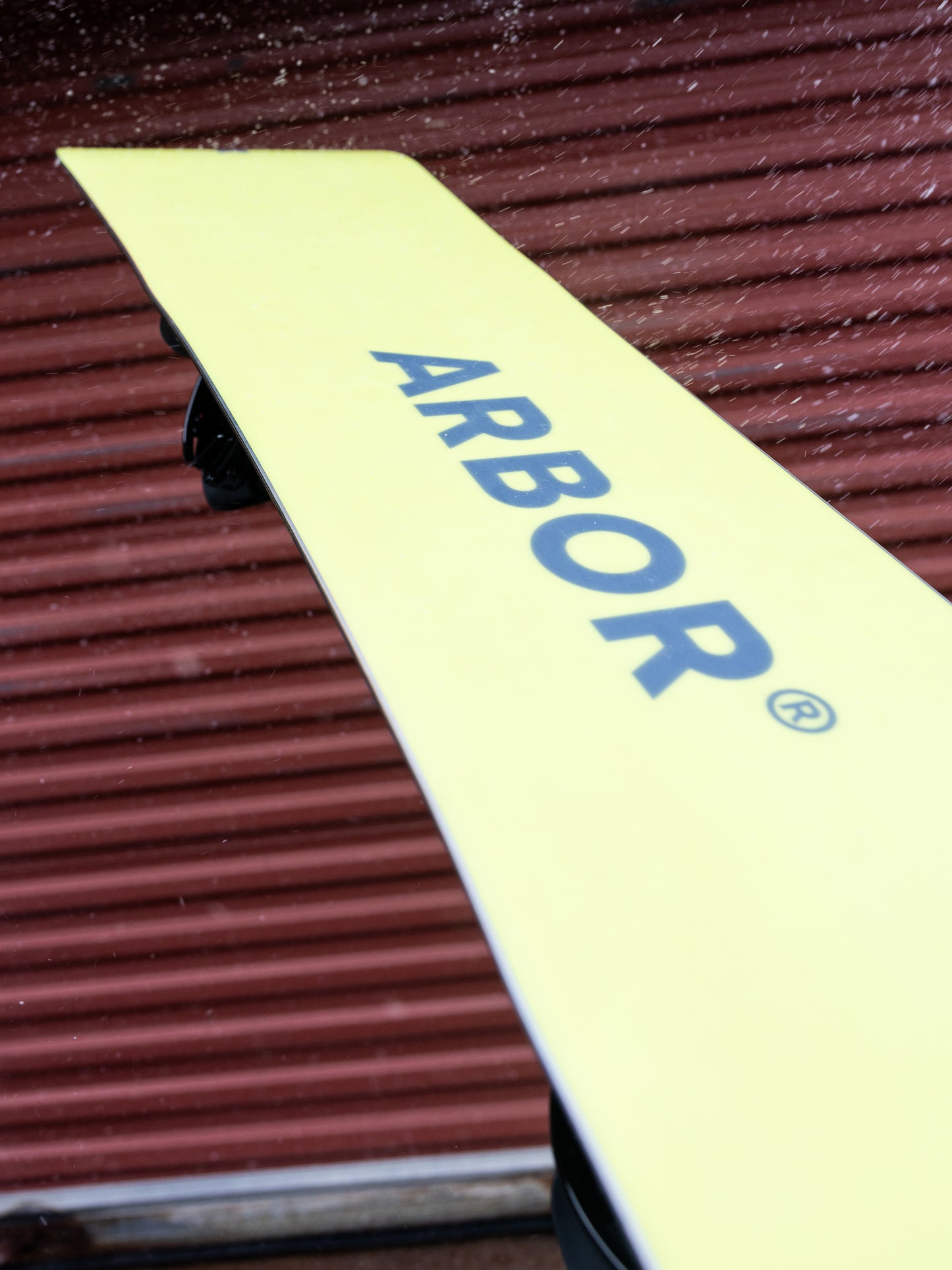 ARBOR Draft