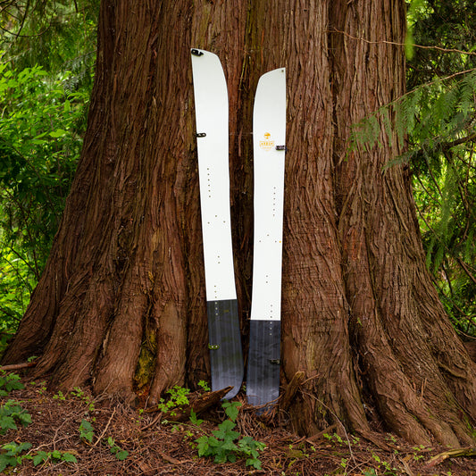 ARBOR Landmark Split