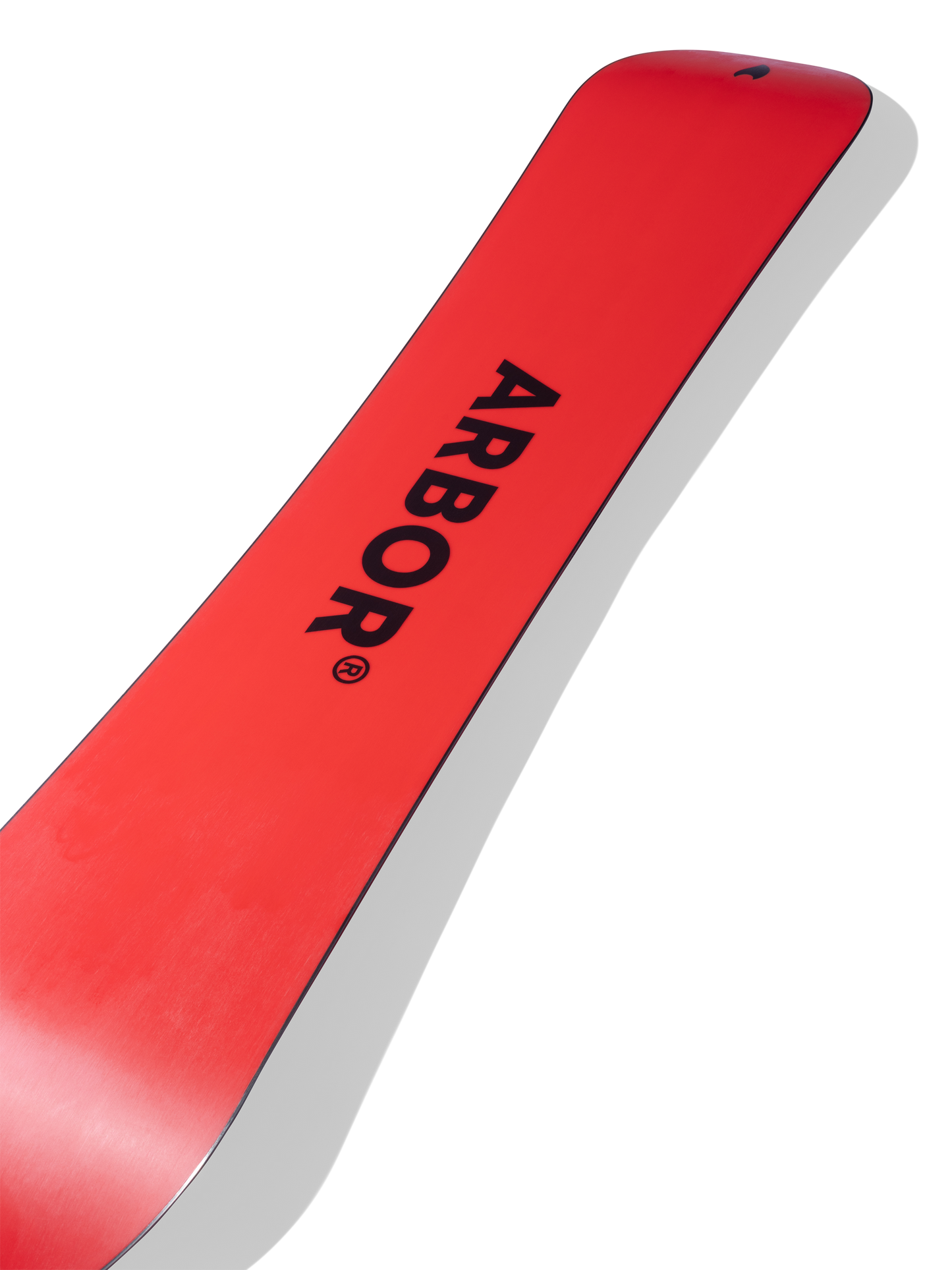 ARBOR Red Gerard AM