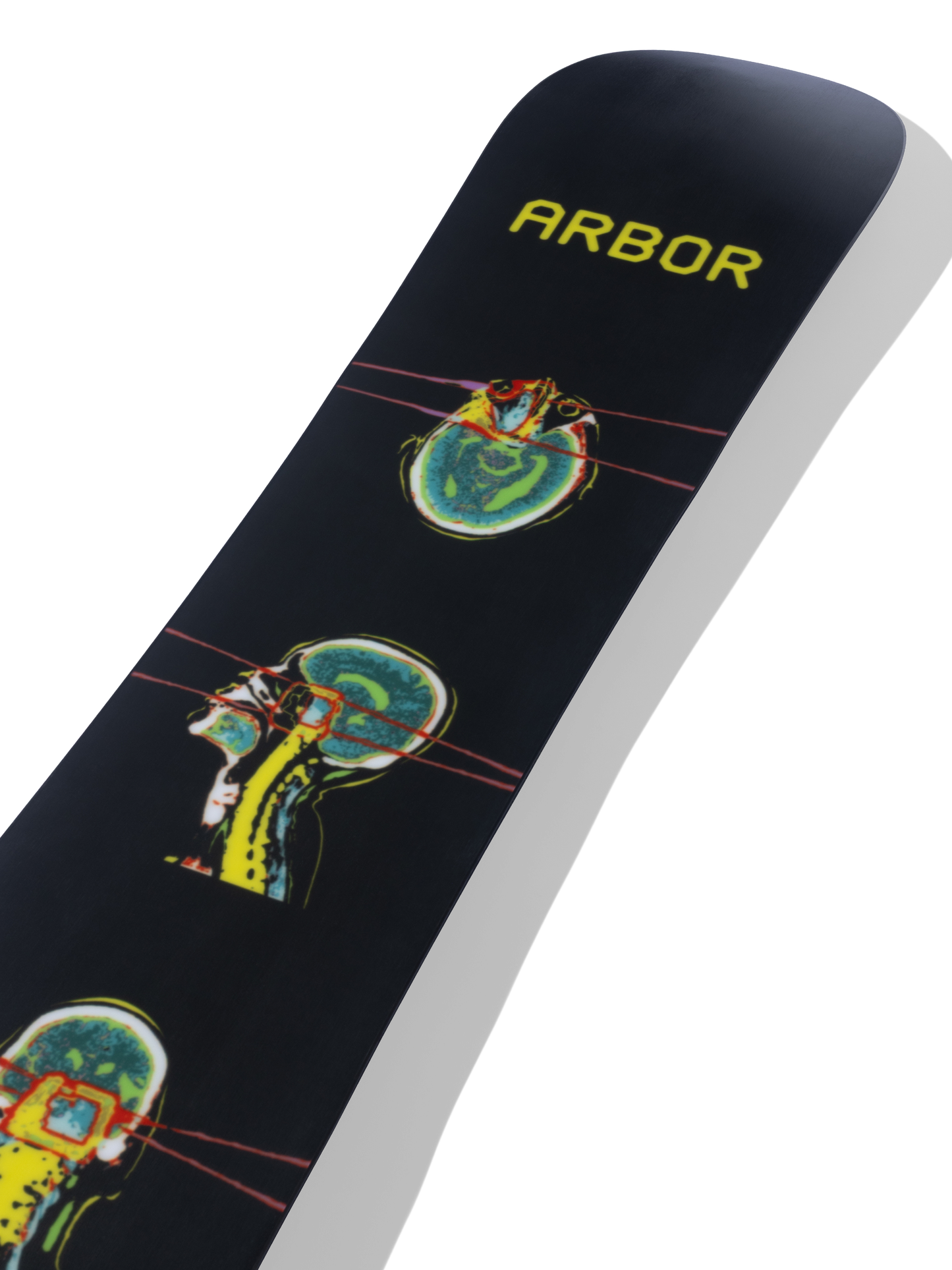 ARBOR El Camino