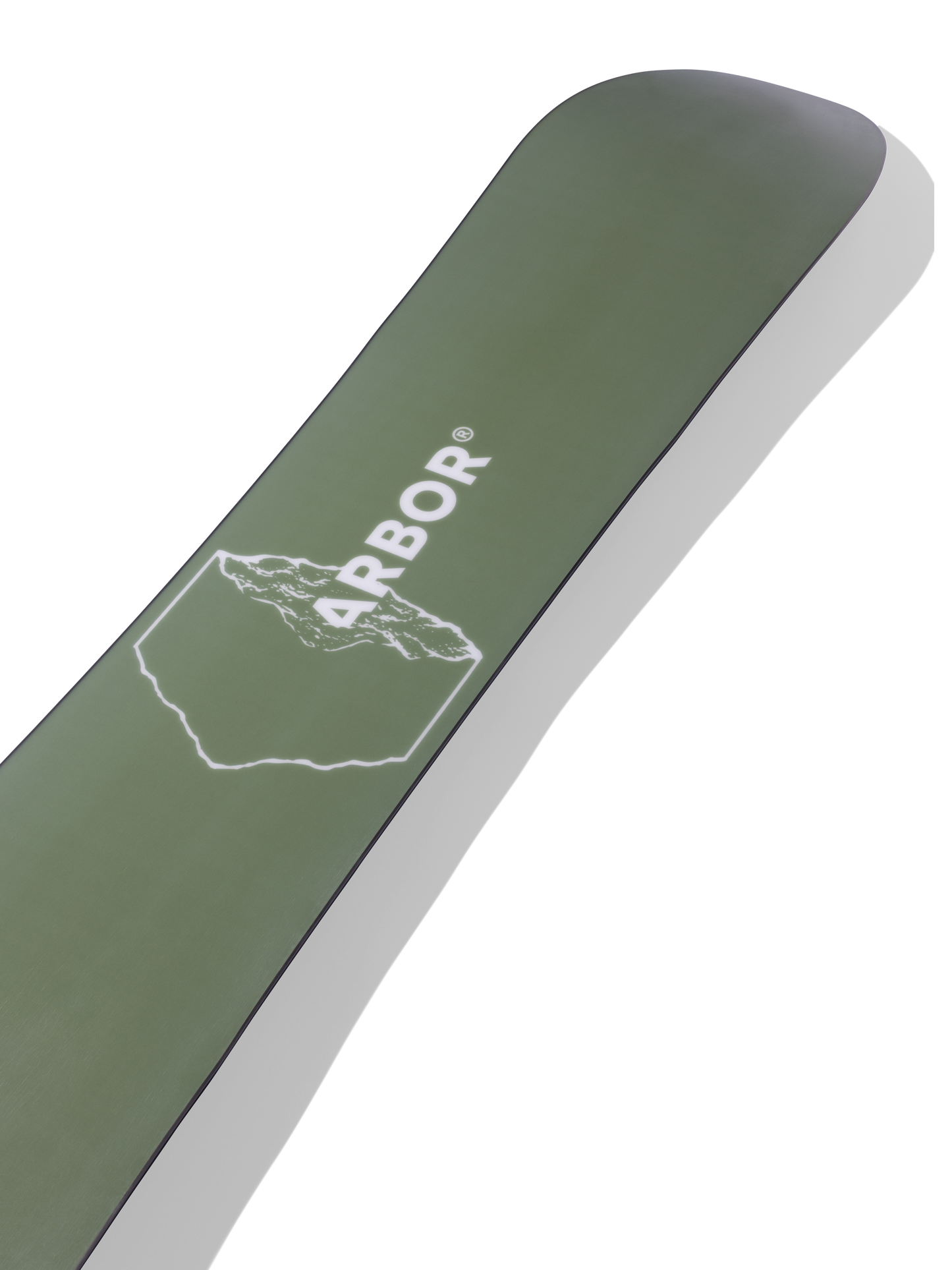ARBOR Sin Nombre