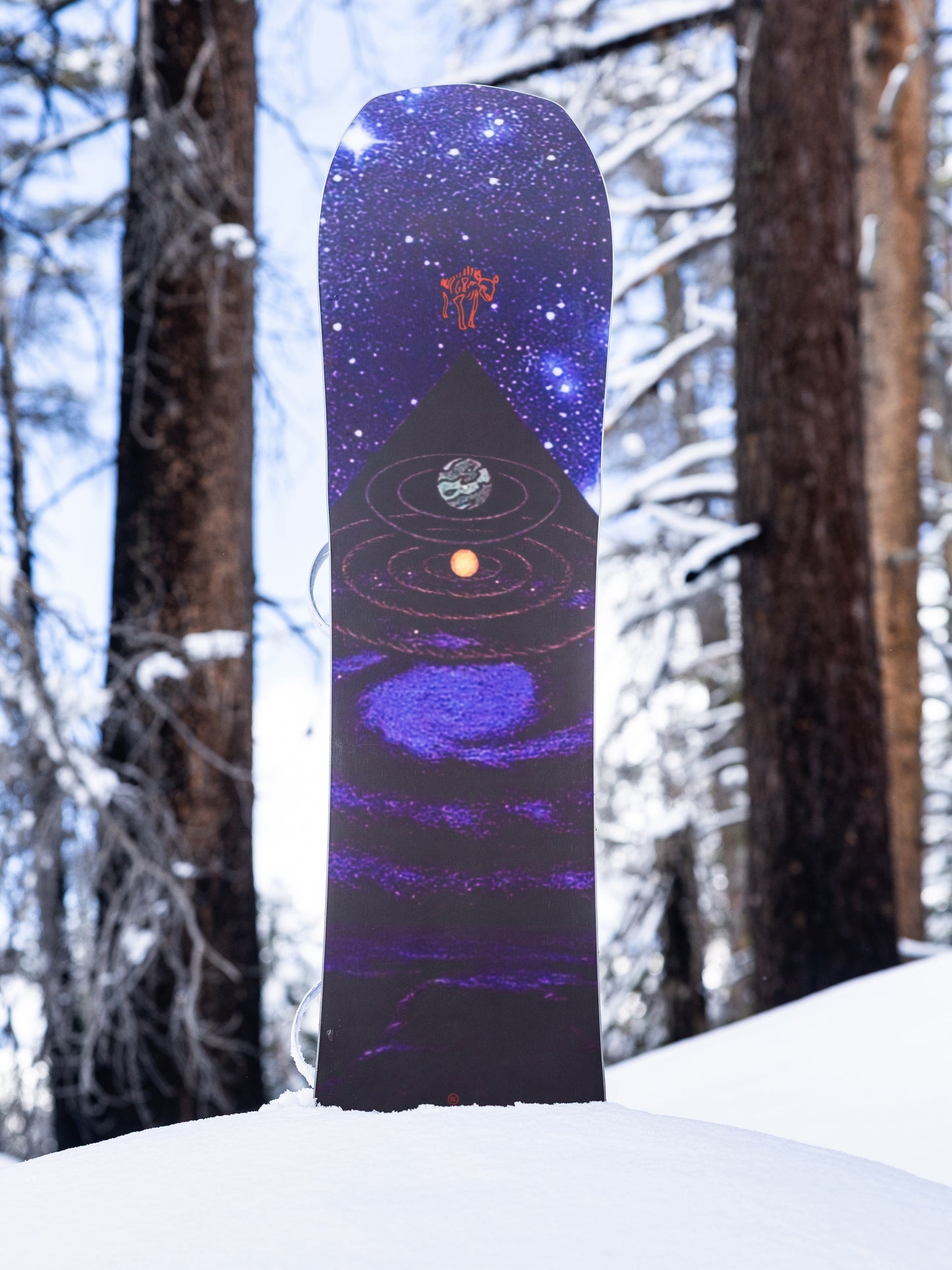 ARBOR Astrowaste