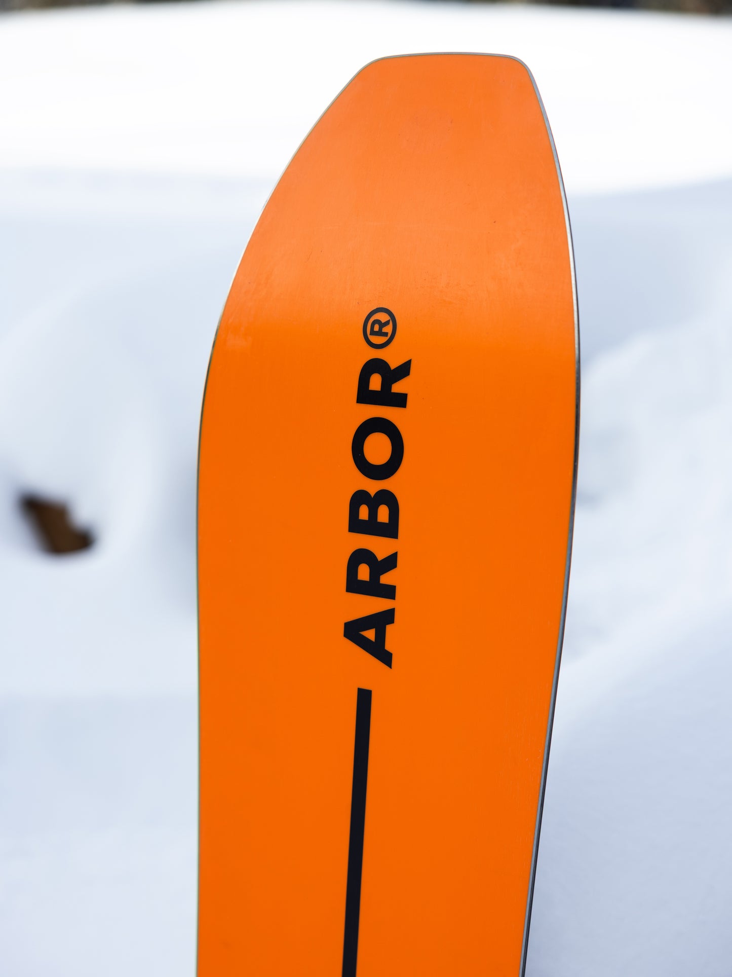 ARBOR Padre
