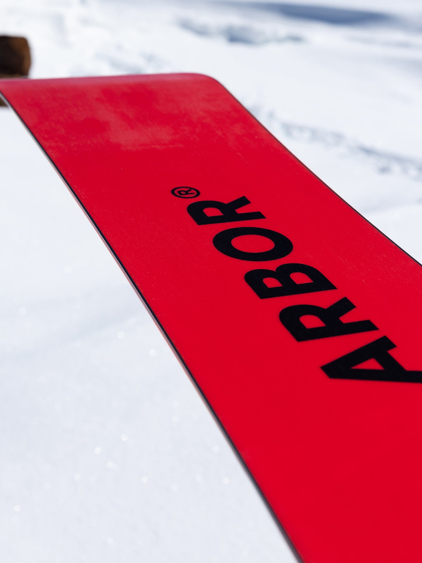 ARBOR Red Gerard AM