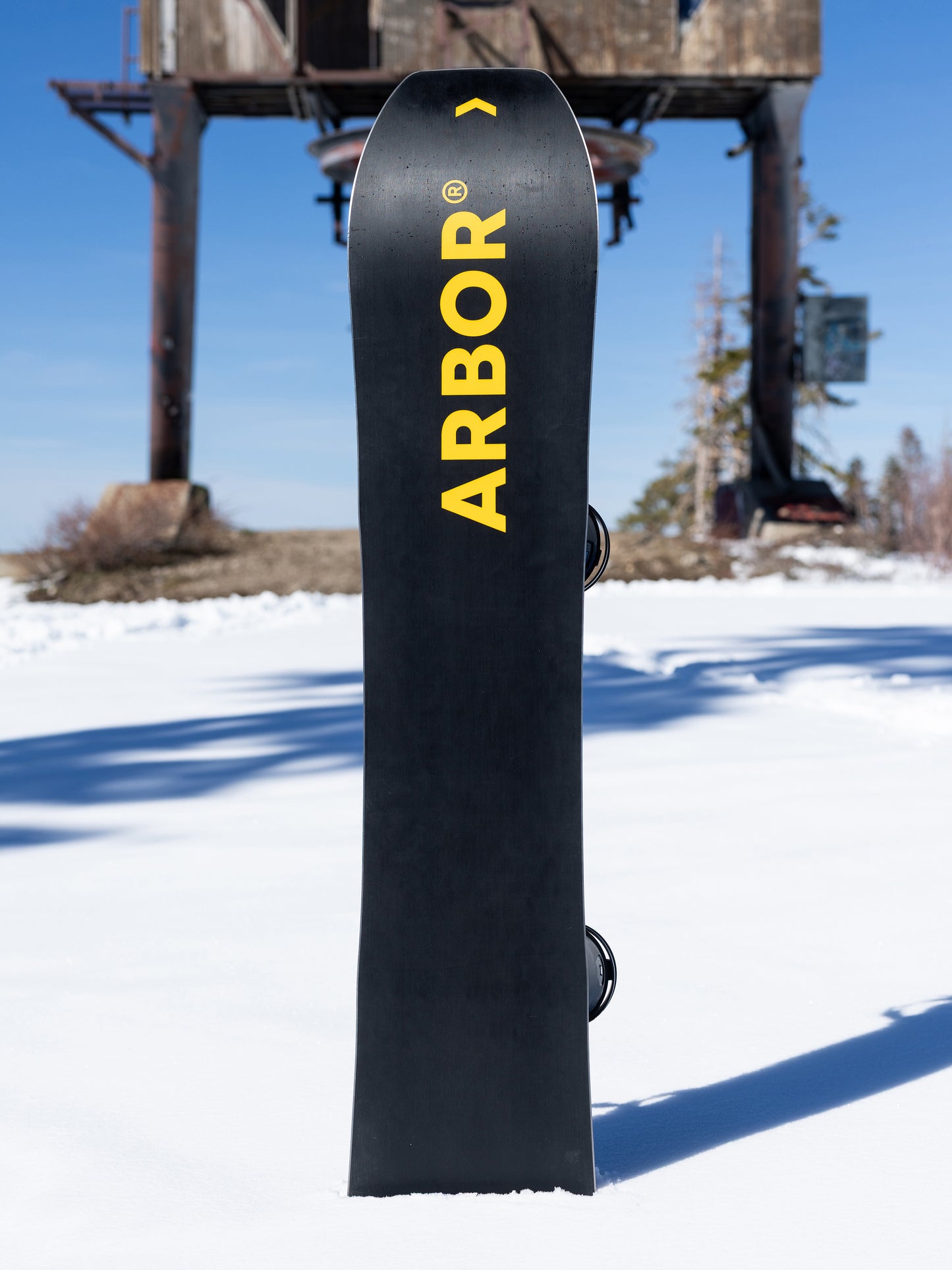 ARBOR Coda